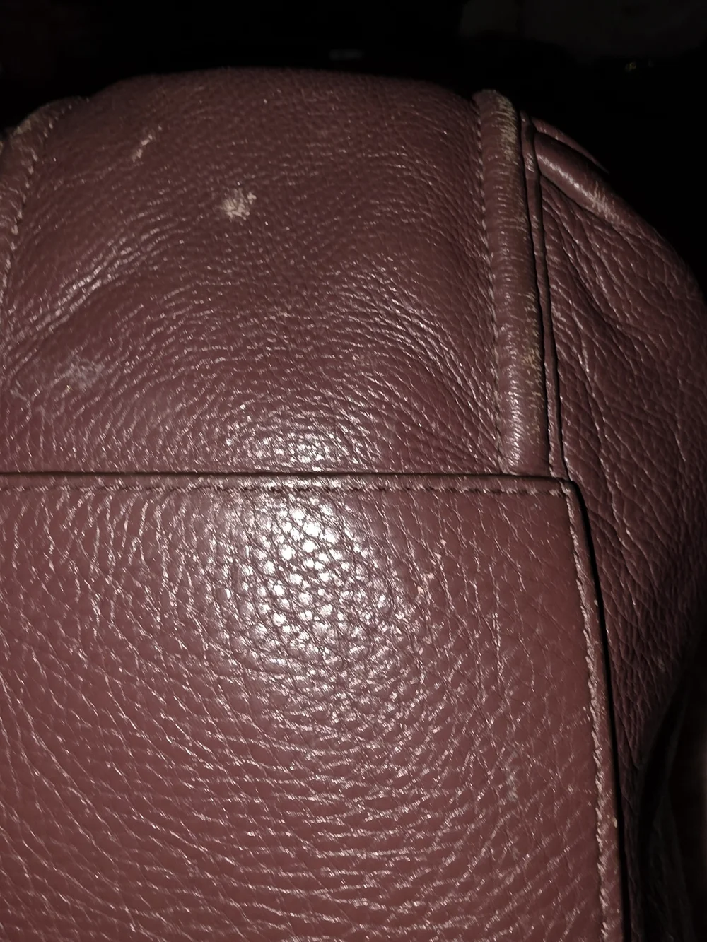 Coach Hobo Bag in Dusty Rose with Tassel